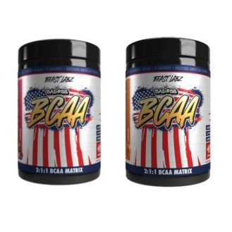 BEAST LABZ BCAA 2:1:1 40servings 300g.